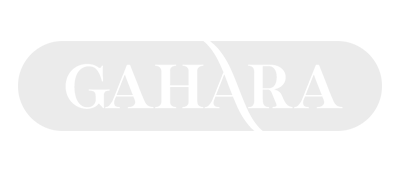 Partner 7